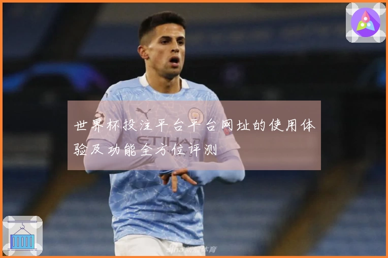 世界杯投注平台平台网址的使用体验及功能全方位评测