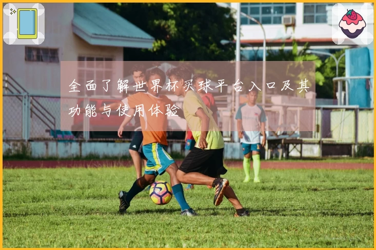 全面了解世界杯买球平台入口及其功能与使用体验