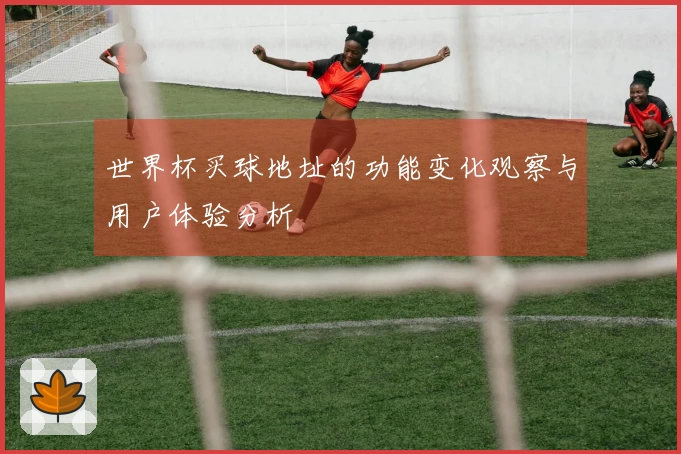 世界杯买球地址的功能变化观察与用户体验分析