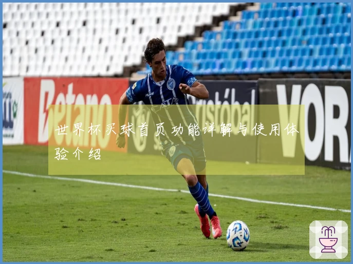 世界杯买球首页功能详解与使用体验介绍